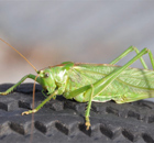 Profil ist in Ordnung Profil ist in Ordnung